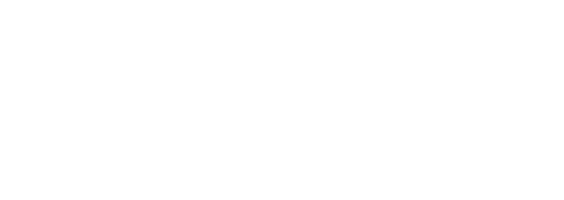 Holding BB Invest